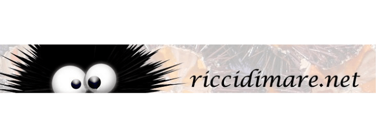 riccidimare-logo image